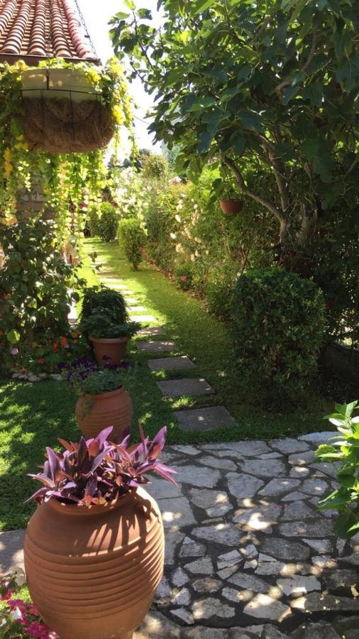 אצ'ארבי Villa Tina Country Beach Apartments מראה חיצוני תמונה