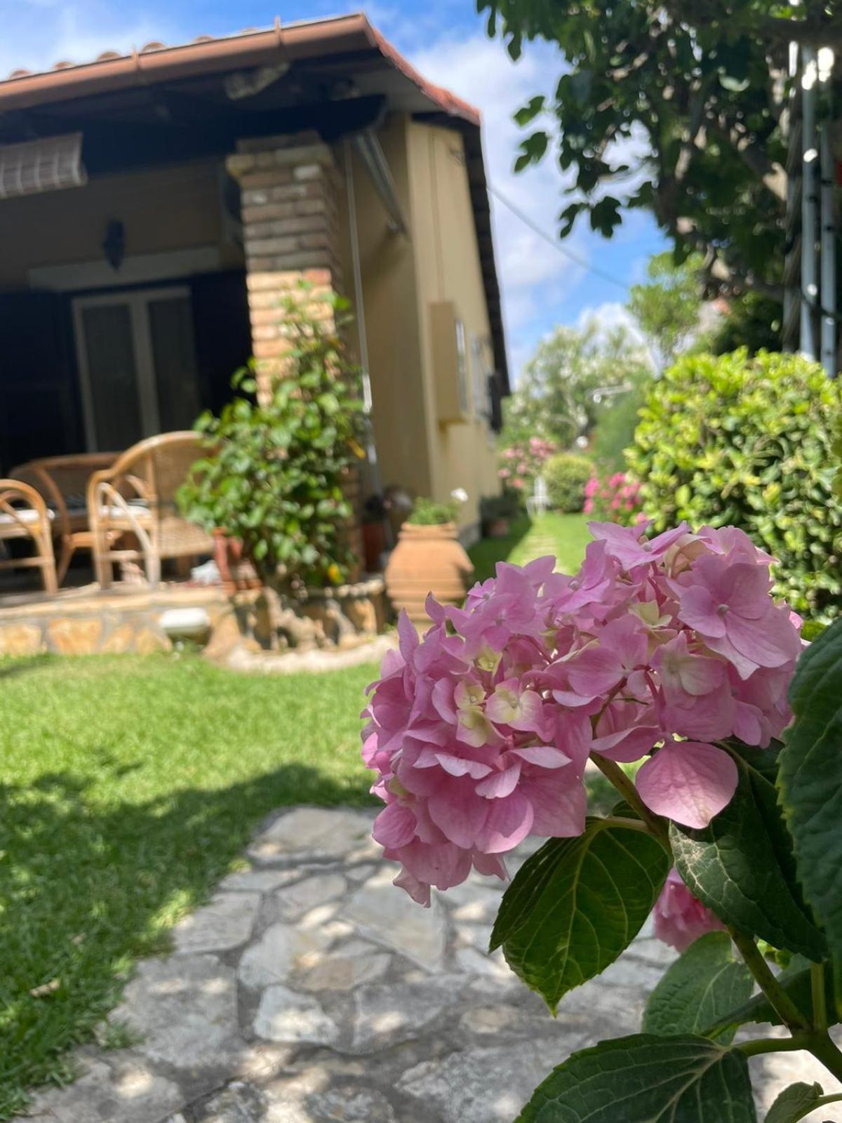 אצ'ארבי Villa Tina Country Beach Apartments חדר תמונה