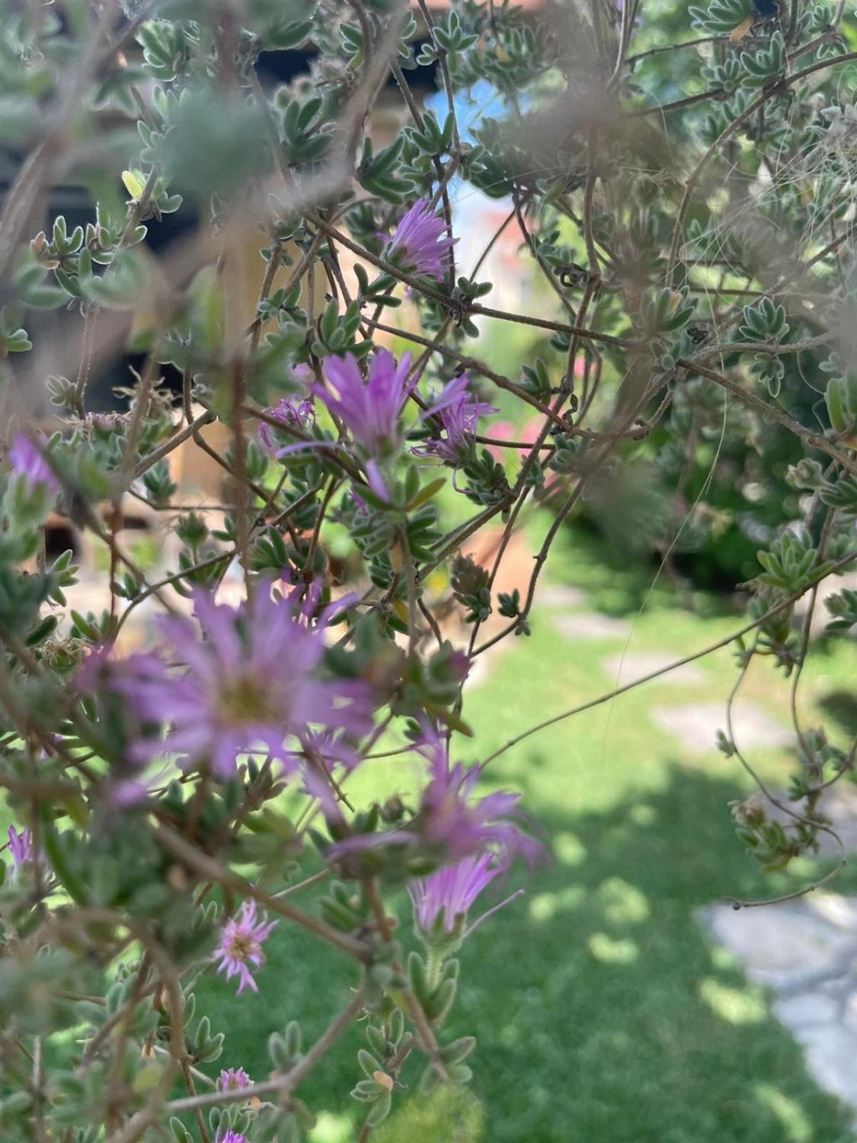 אצ'ארבי Villa Tina Country Beach Apartments חדר תמונה