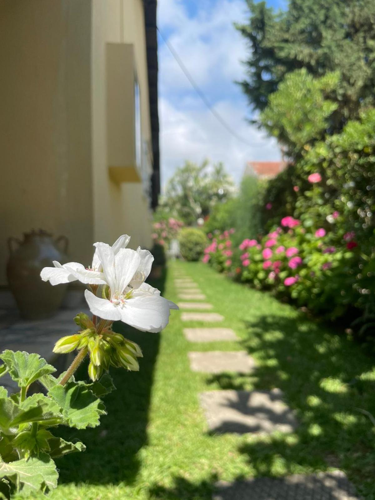אצ'ארבי Villa Tina Country Beach Apartments חדר תמונה