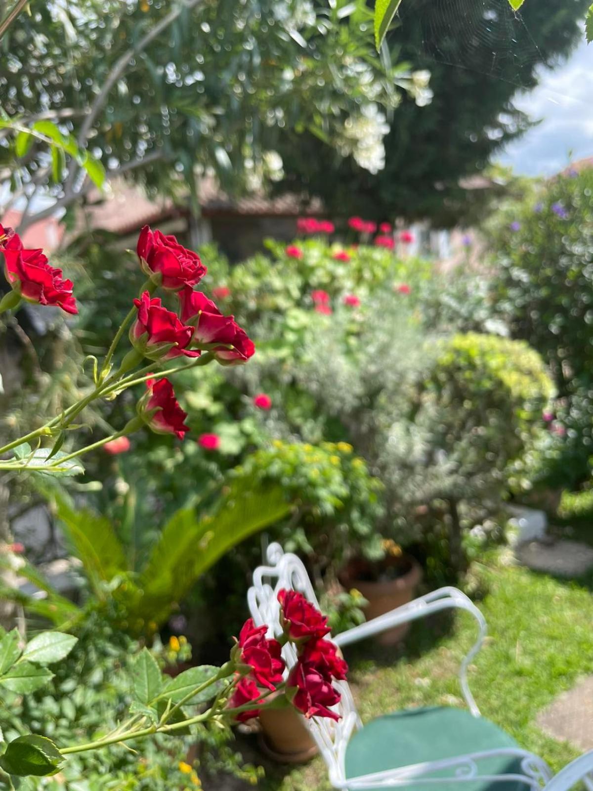 אצ'ארבי Villa Tina Country Beach Apartments חדר תמונה