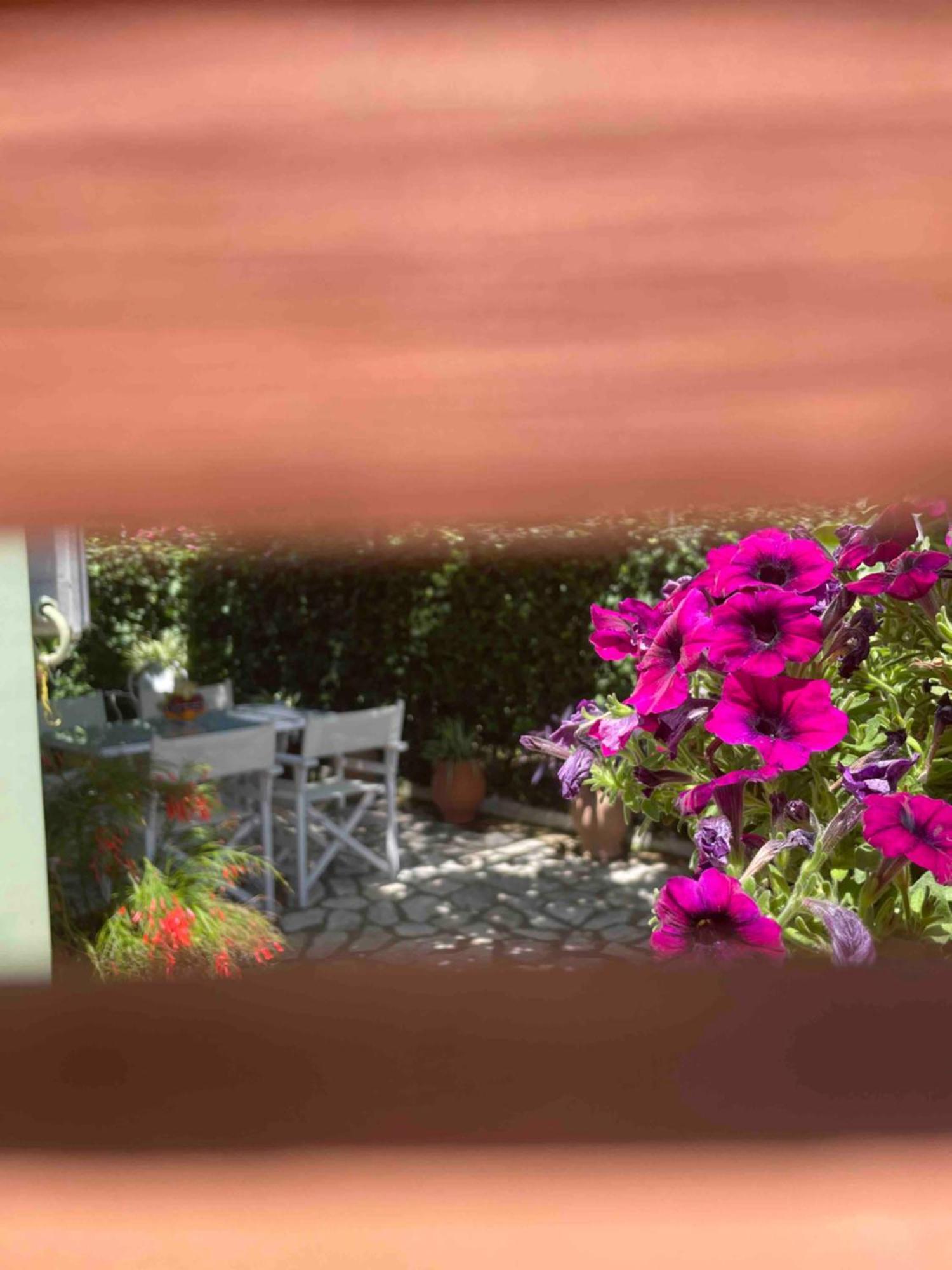 אצ'ארבי Villa Tina Country Beach Apartments חדר תמונה