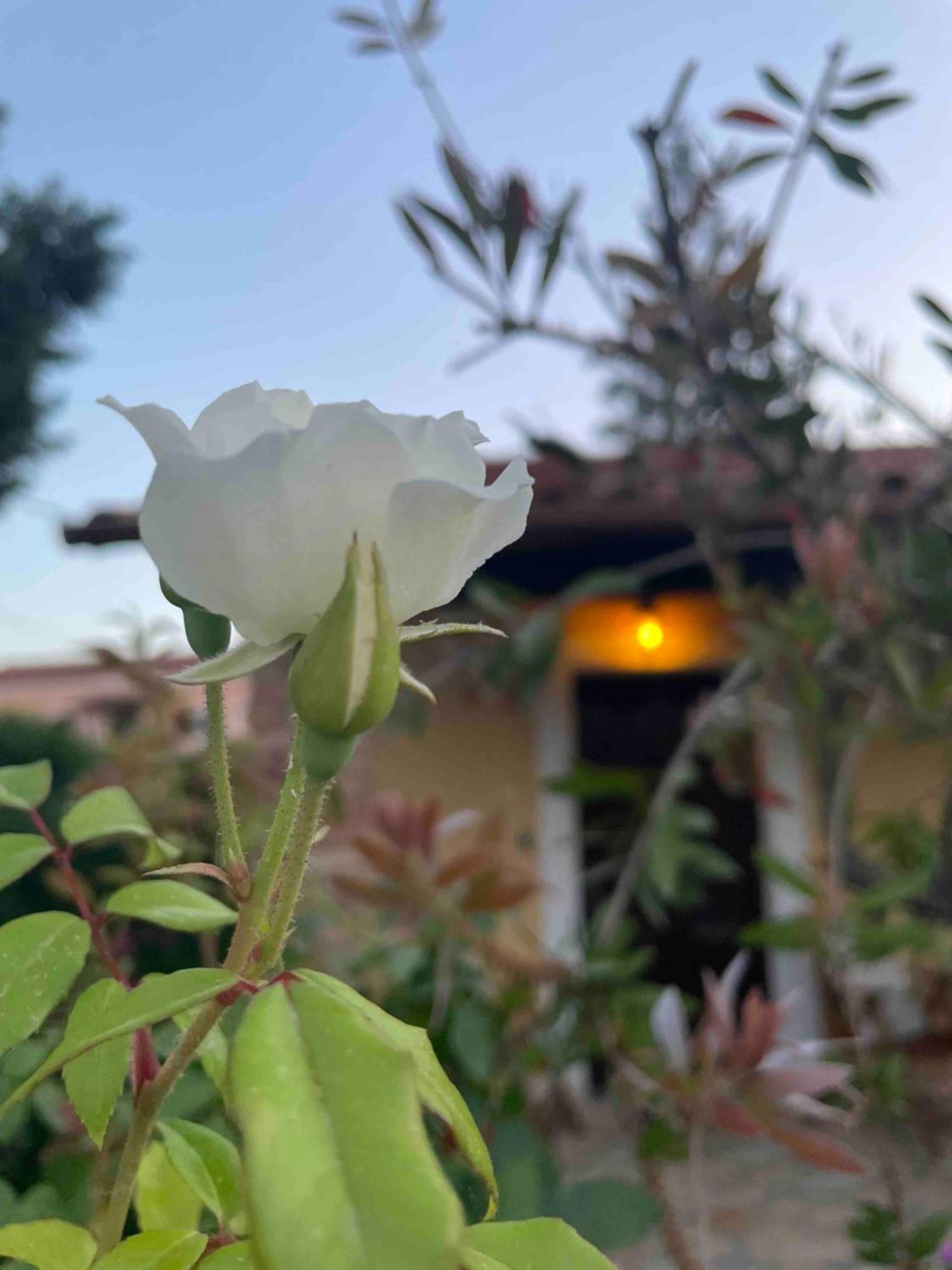 אצ'ארבי Villa Tina Country Beach Apartments חדר תמונה